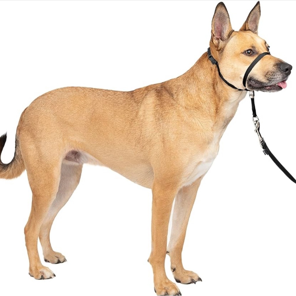 PetSafe Gentle Leader Headcollar - BLACK Size Medium- 25 to 60lbs . NEW in box❣️